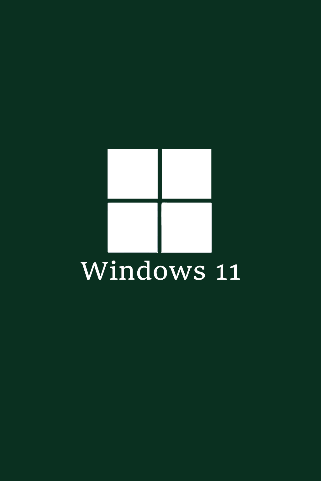 Windows 11