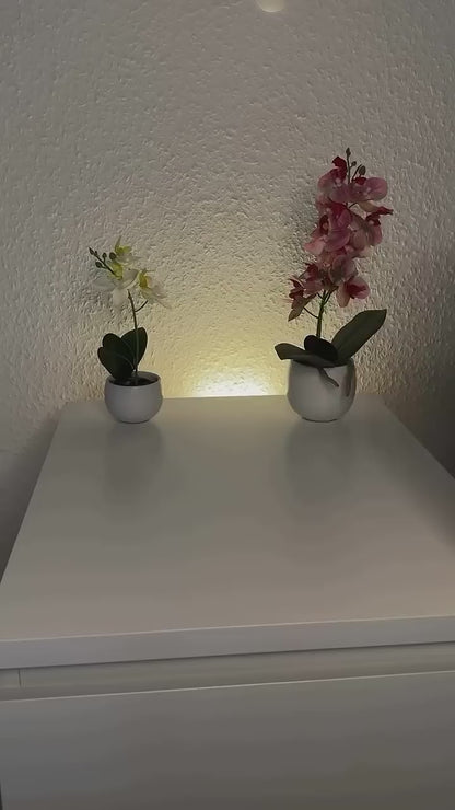 HY320 Mini Smart Projector