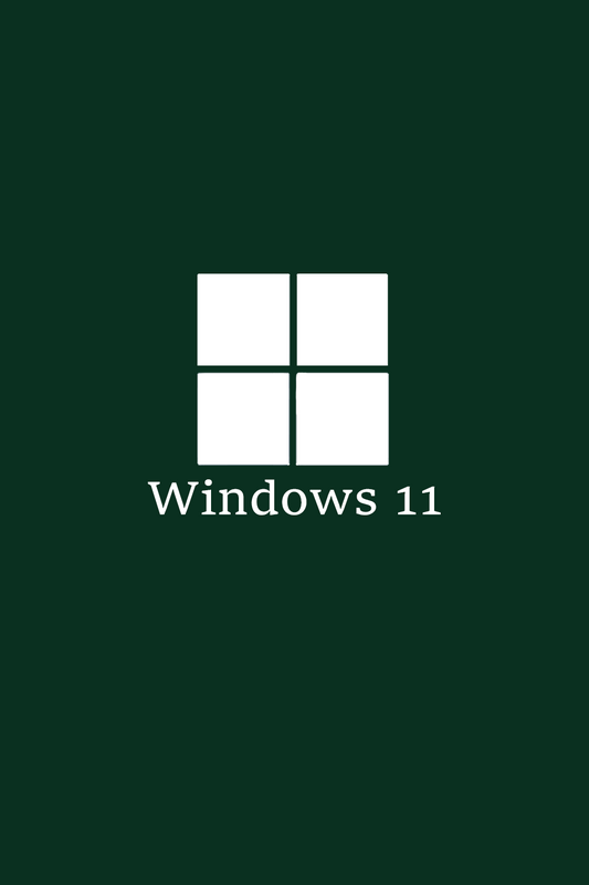 Windows 11